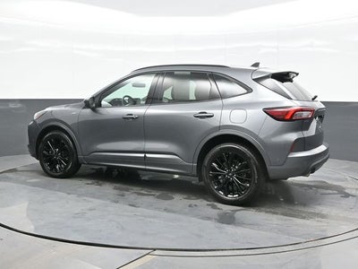 2024 Ford Escape ST-Line Elite