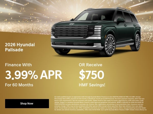 2026 Palisade Specials